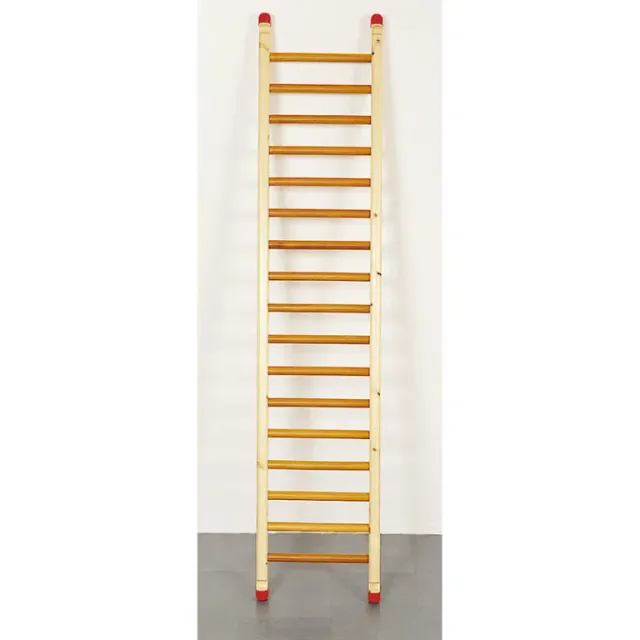 Gericare Pasarela Kletterleiter Holz 220x48