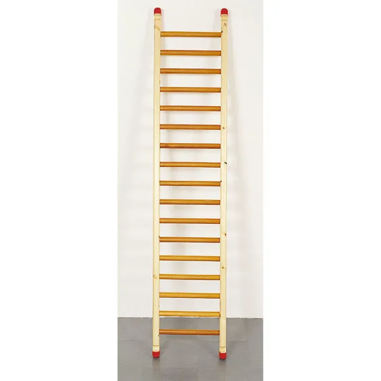 Gericare Pasarela Kletterleiter Holz 220x48