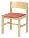 Gericare Geriatrie Stuhl Buche Polster 52x50x75 cm